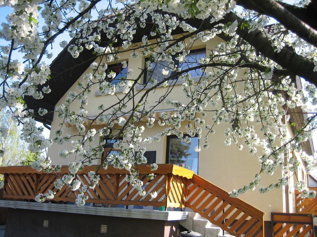 St. Michael Apartman Budapeszt Zewnętrze zdjęcie